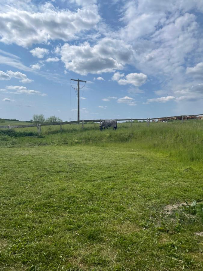 Ferienwohnung Mit Kamin Und Traumhafter Dachterrasse Mit Weitblick In Die Natur Neu Gaarz Buitenkant foto